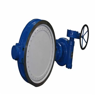 Mit Fluor abgedichtete Absperrklappe